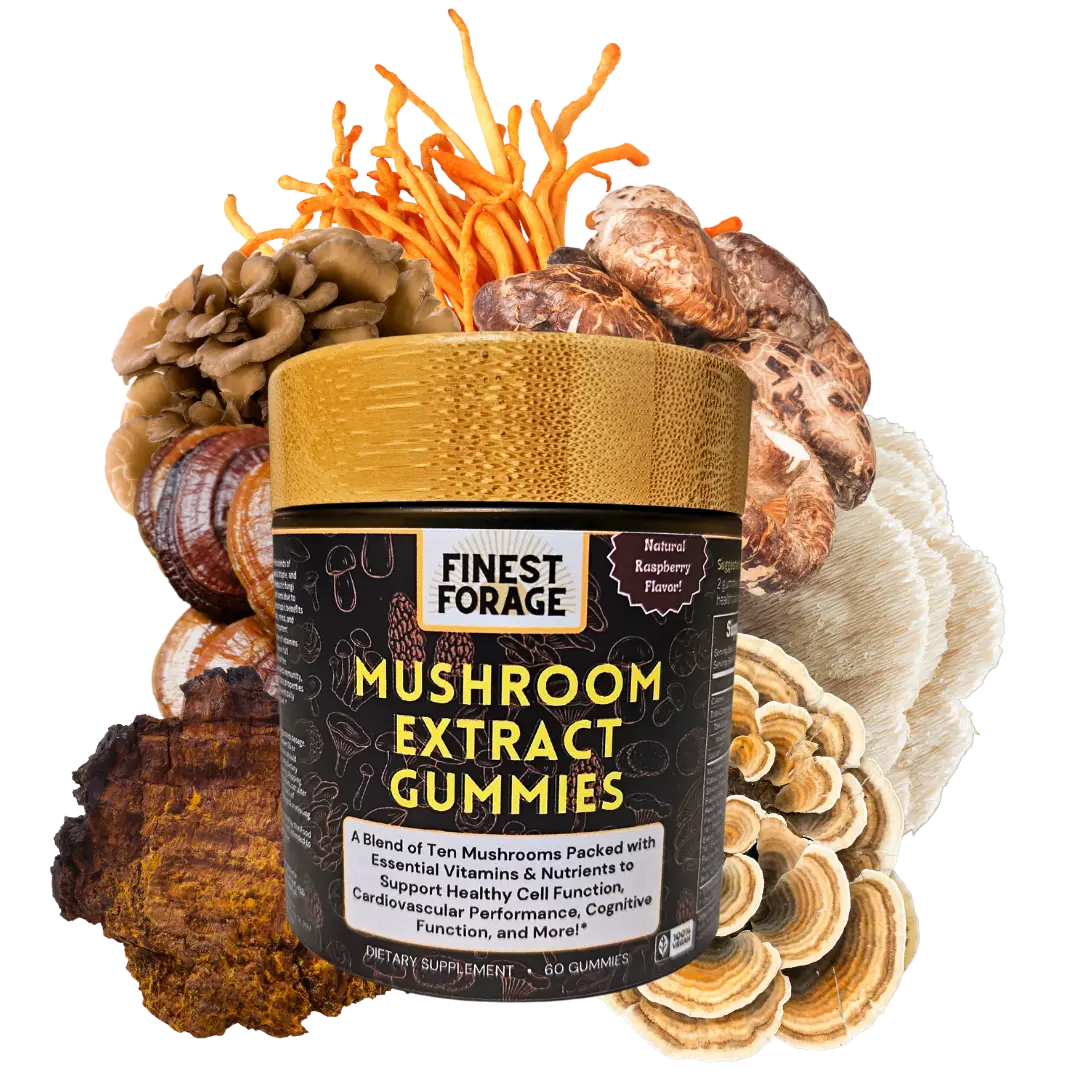 Finest Forage Mushroom Extract Complex Gummies