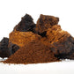 Finest Forage Chaga Powdered Extract Capsules