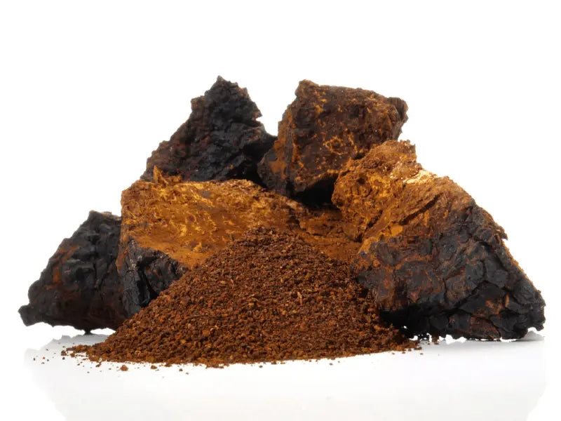 Finest Forage Chaga Powdered Extract Capsules